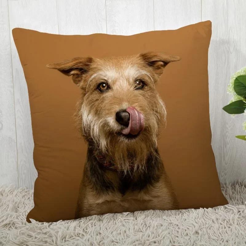 Irish Wolfhound Pillowcase Modern Home Bedroom Living Room Sofa Cushion Cover 45X45Cm Peach Skin Pillowcase
