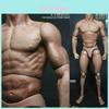 12 Inch Muscular Male Action Figure Body Ideal For 1/6 Scale Creative Decoration