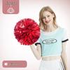 Cheerleading Pom Poms