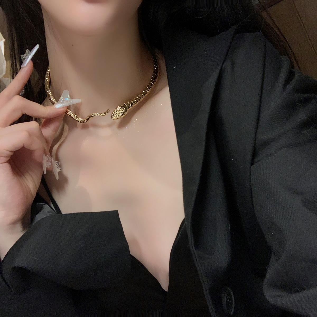 New Punk Style Serpentine Necklace, Spicy Girl Sweet Cool Style Charm, Neck Chain, Niche Design, Jewelry 30CM