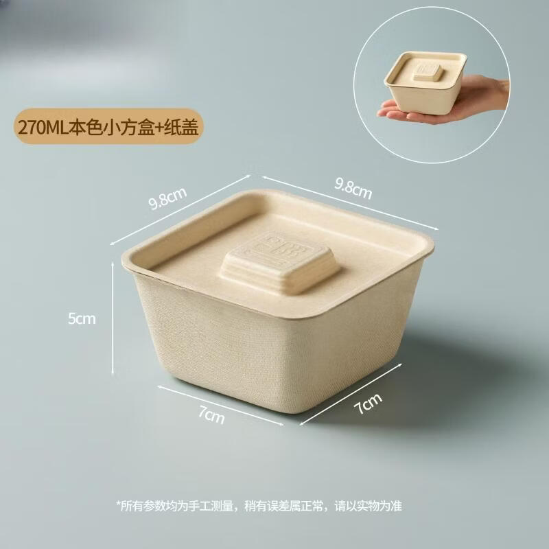 Disposable Paper Pulp Takeaway Container with Lid