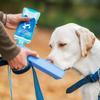 Premium Köpek Diş Bakımı ve Köpek Nefes Tazeleyici - Fırçasız Diş Tartarı ve Plak Giderici Köpek Dişleri İçin 250ml