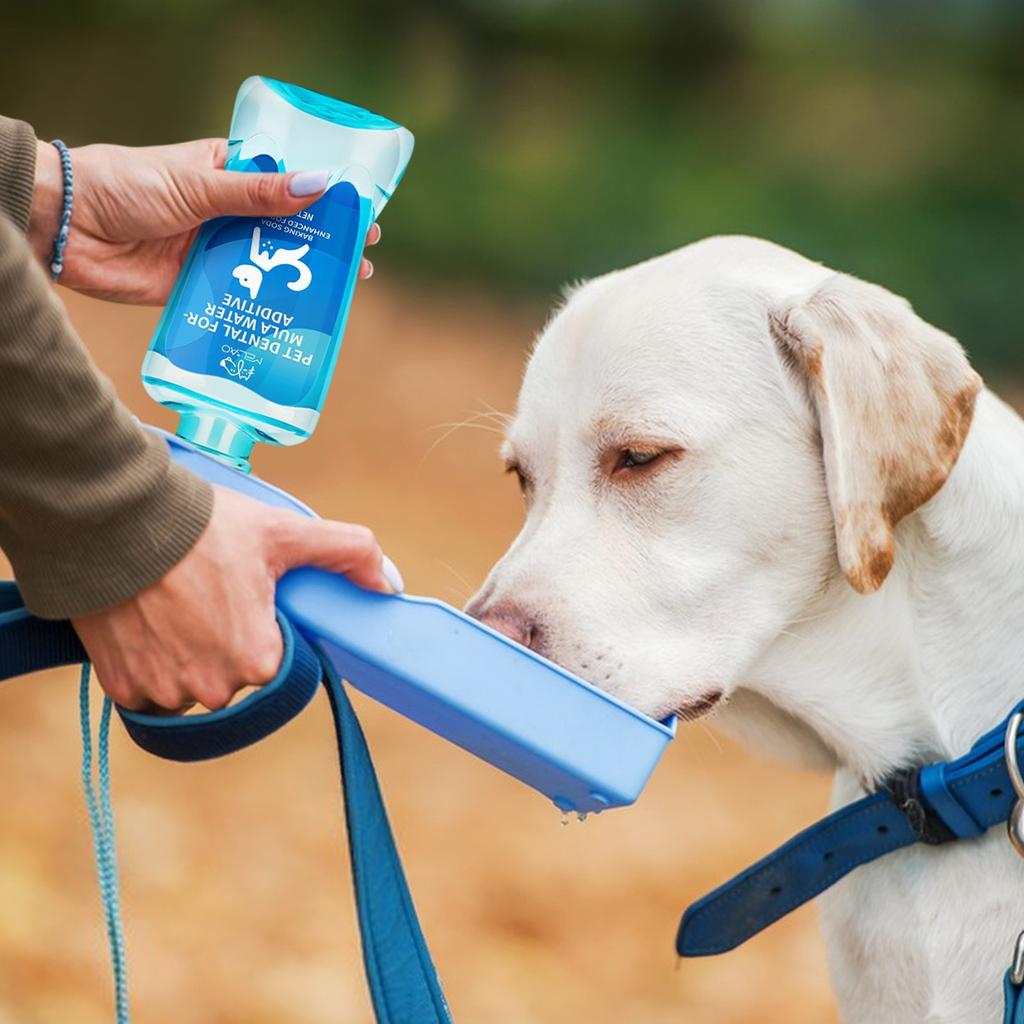 Premium Köpek Diş Bakımı ve Köpek Nefes Tazeleyici - Fırçasız Diş Tartarı ve Plak Giderici Köpek Dişleri İçin 250ml