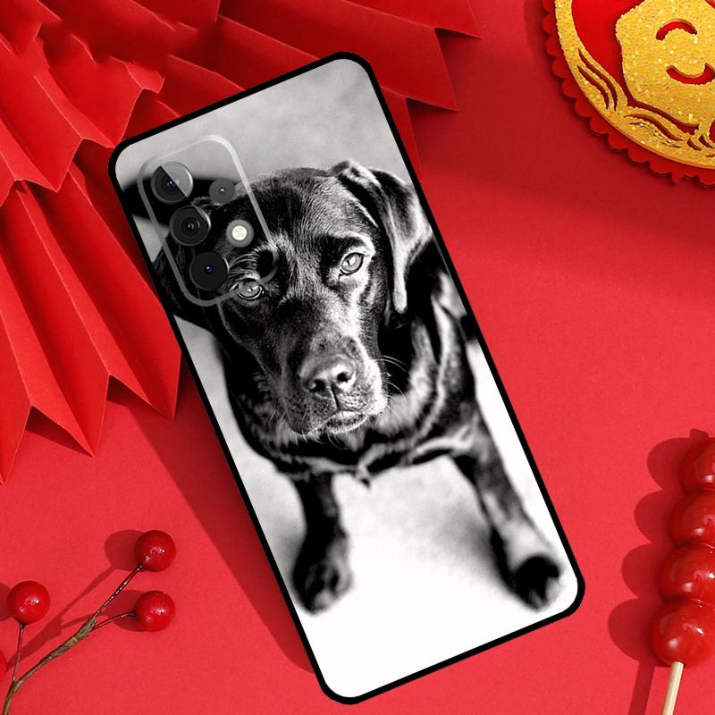 Black Labrador Dog Case For Samsung Galaxy M15 M55 M31 M13 M11 M12 M14 M06 M16 M36 M56 M53 M32 M52 M35 M34 M54
