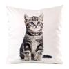 The cute cats from Northern Europe Digital printing short plush pillow covers for car sofa office cushion cover home goods