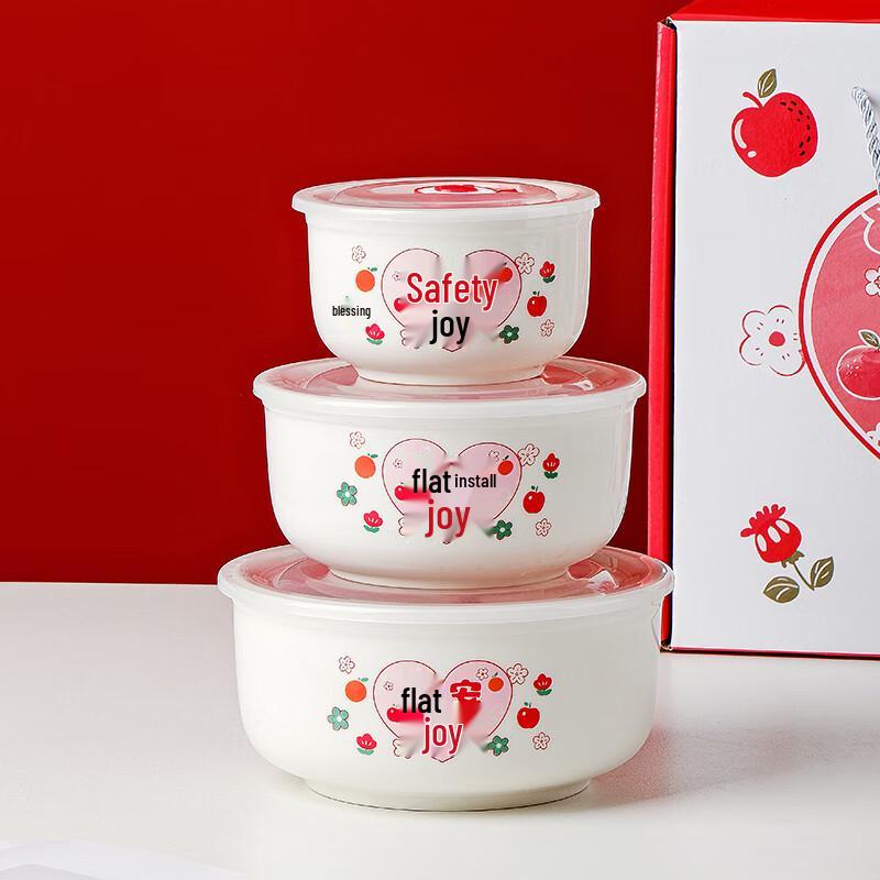 Süßes Elegantes Keramik-Lebensmittelaufbewahrungsschüssel-Set