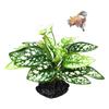 Pești și animale marine – Decorul acvariului