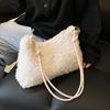 2023 New Plush Fabric Women's Shoulder Crossbody Bag Small Fashion Lambs Wool Fluffy Fur Winter Female Bag Designer Handbags