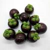 10pcs Realistic Artificial Mangosteens Simulations Fruit Model Fake Mangosteens Display Props Kitchen Parties Home Decors