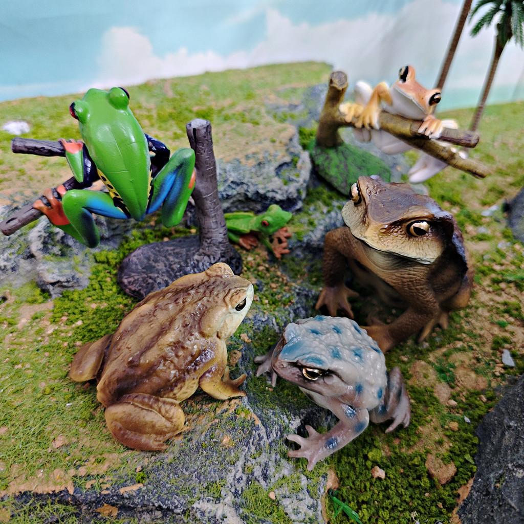 Childrens Wild Animal Pvc Collection With Realistic Tree Frog And Toad Figurines For Educational Play