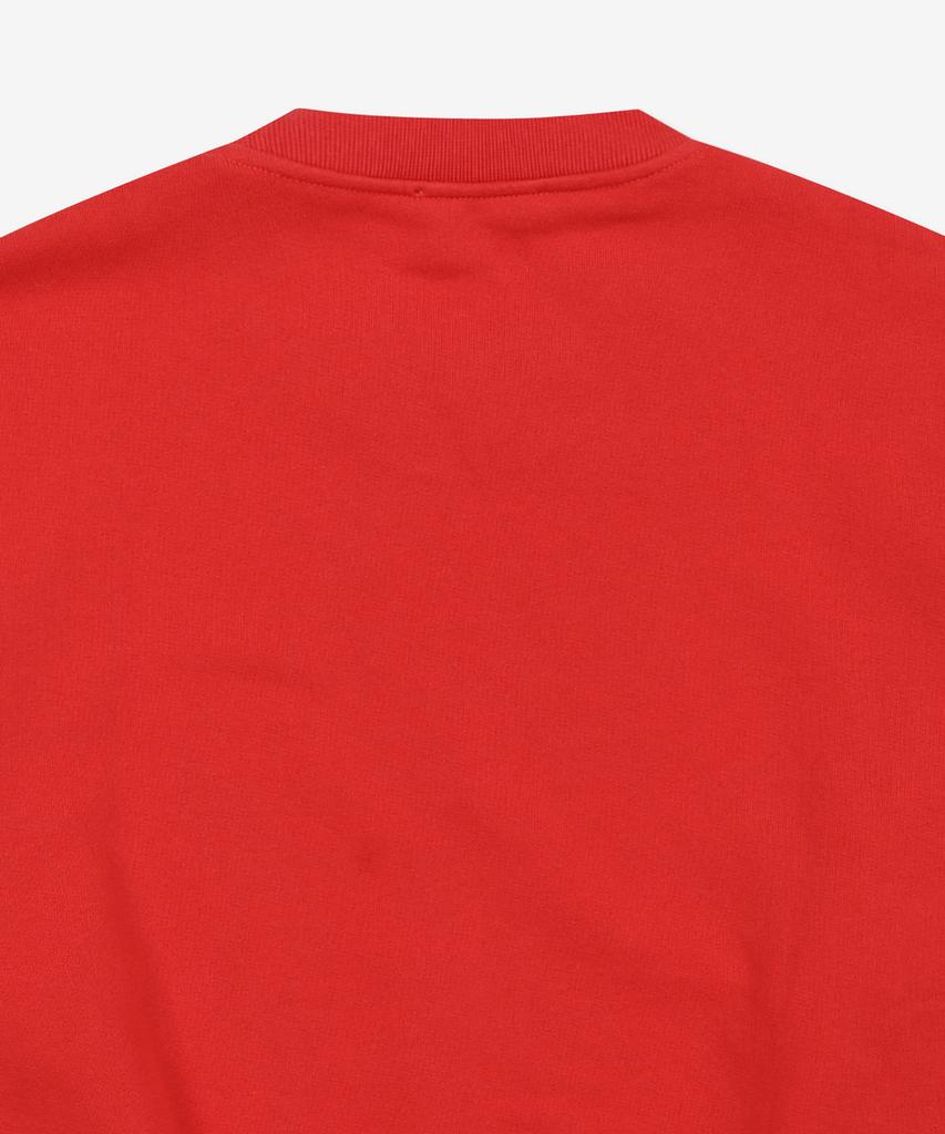 ARIES Mini Problem Sweatshirt - Red / Star20009Rd