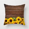 Cushion Accessory Spring and Summer Home Decor Sofa Cushion Pillow Cover Cushion Cover