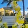 Yellow Theme Balloons Garland Yellow White Latex Ballon Arch Kit Wedding Anniversary Engagement Birthday Party Decoration Globos