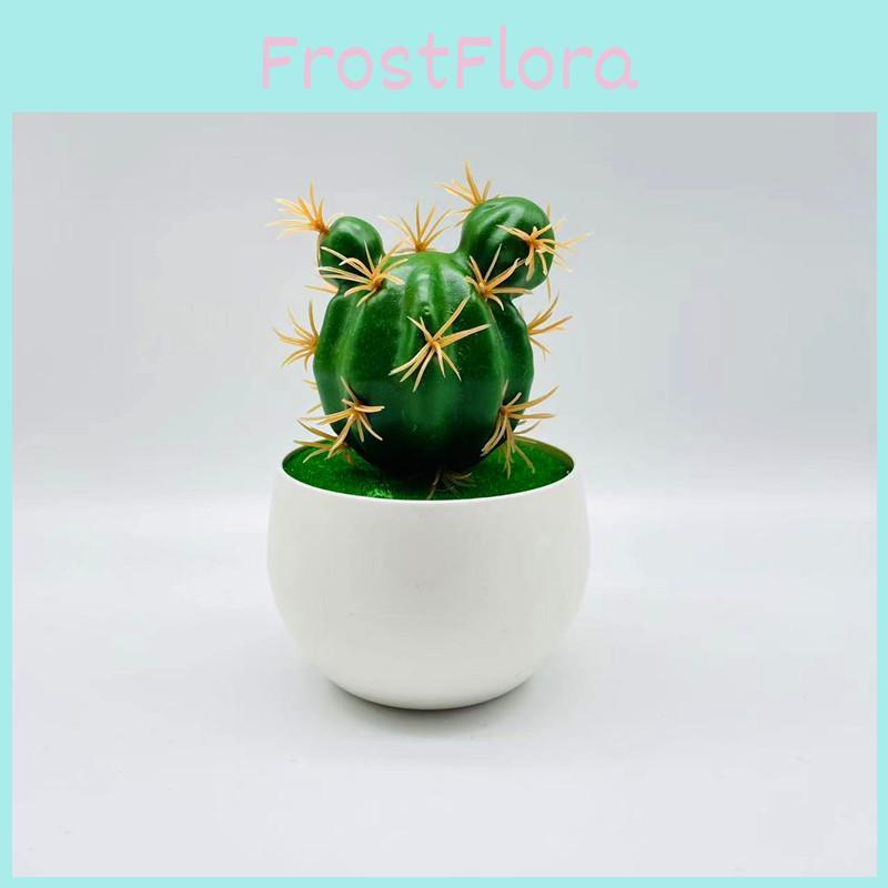 Artificial Cactus Simulated Green Plants Desktop Potted Indoor Decoration