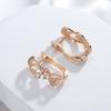 Shining Natural Zircon Dangle Earrings For Women  Rose Gold Color High Quality Daily Fine Jewelry  Trend