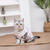 Protective Small Dog Kitten Clothes Anti-Slip Pet Anti-scratch Vest Pet Cat Shirt  Cat