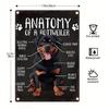 Vintage Rottweiler Anatomy Metal Wall Art X Inch Iron Dog Poster for Home Decor Retro BreedSpecific Illustration