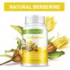 Berberin-Nahrungsergänzungsmittel 600 mg, 120 pflanzliche Kapseln, Reiner Extrakt – Vegan, Gentechnikfrei, Für Magen-Darm-Beschwerden