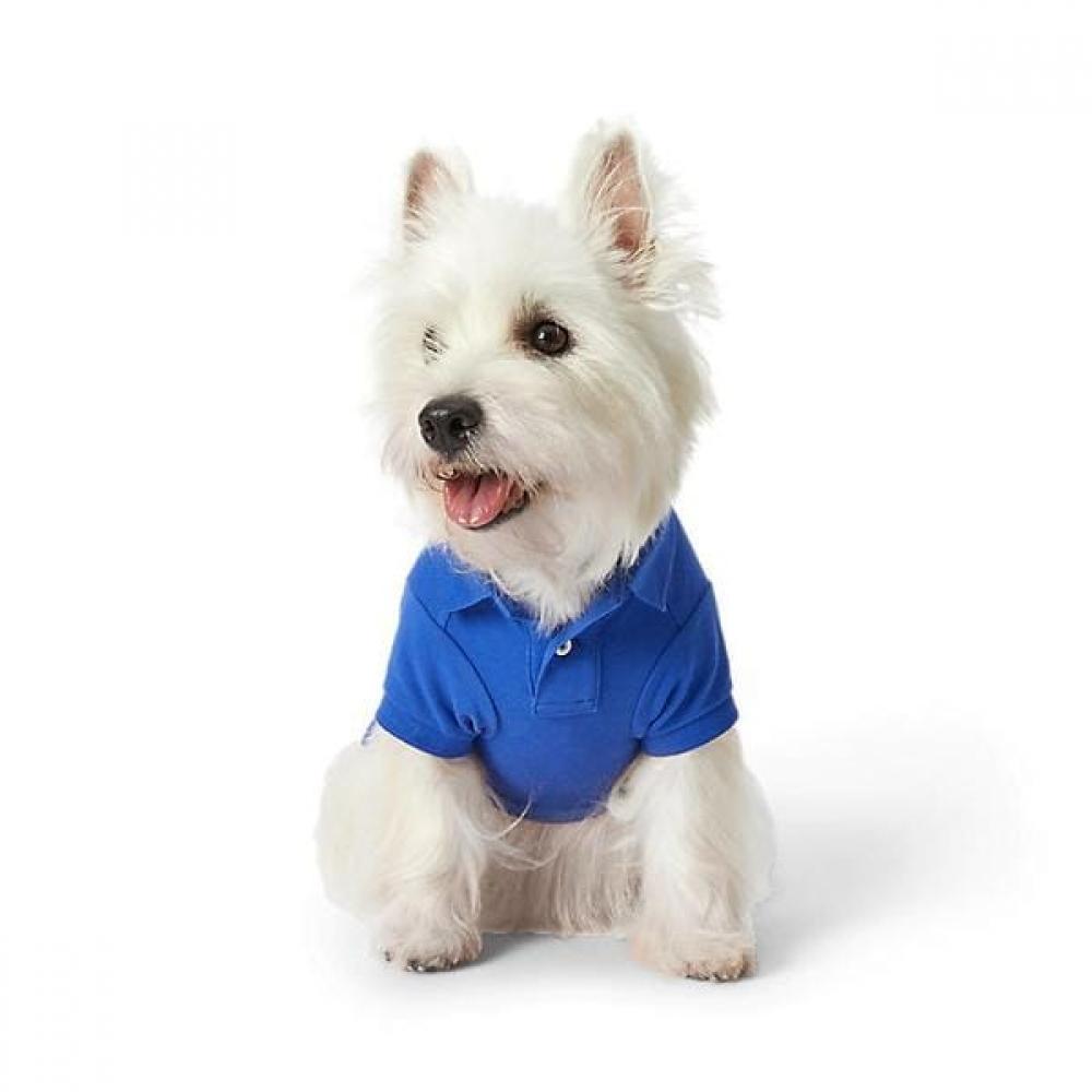 

Ralph Lauren Polo Bear Cotton Mesh Dog Polo Shirt Hmpogfthr920019400 XLARG