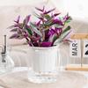 Self Watering Planter Plastic Plant Pot with Inner Pot Modern Decorative Flower Pot for All House Plants Flowers Herbs African Violets