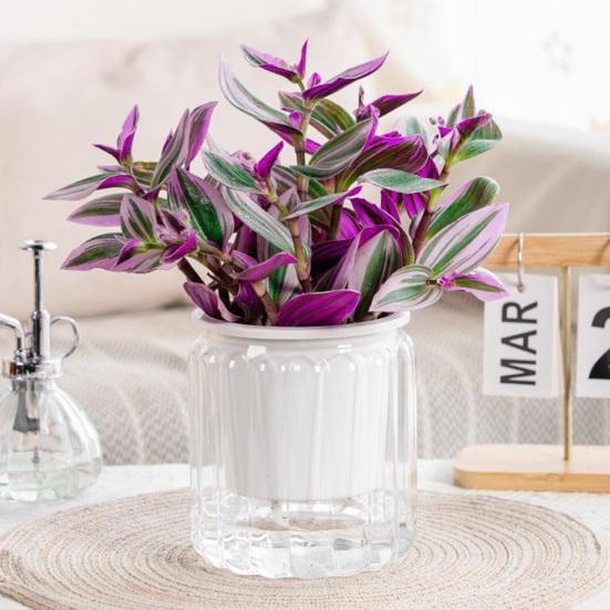 Self Watering Planter Plastic Plant Pot with Inner Pot Modern Decorative Flower Pot for All House Plants Flowers Herbs African Violets