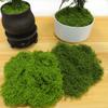 50G Fake Moss Diy Crafts Grass Artificial Moss Faux Preserved Moss Green Plants Home Room Garden Decor Mini Landscape Fake Grass