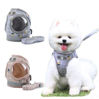 Chiens – Colliers et laisses pour chiens