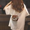 Bag Women's Versatile New Crossbody Bag Women's Autumn Fashion High-end Chain Bag Light Luxury Small Bag