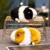 Lifelike Guinea Pig Plush Doll Pillow Creative Capybara Hamster Stuffed Toy Simulation Animal Figurine Home Decor Birthday Gift