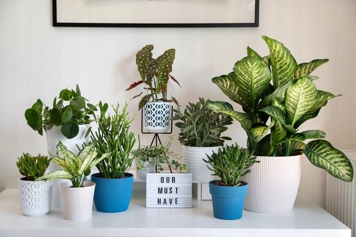 Magnolia Jumper plastic pot, sea green, 16 cm