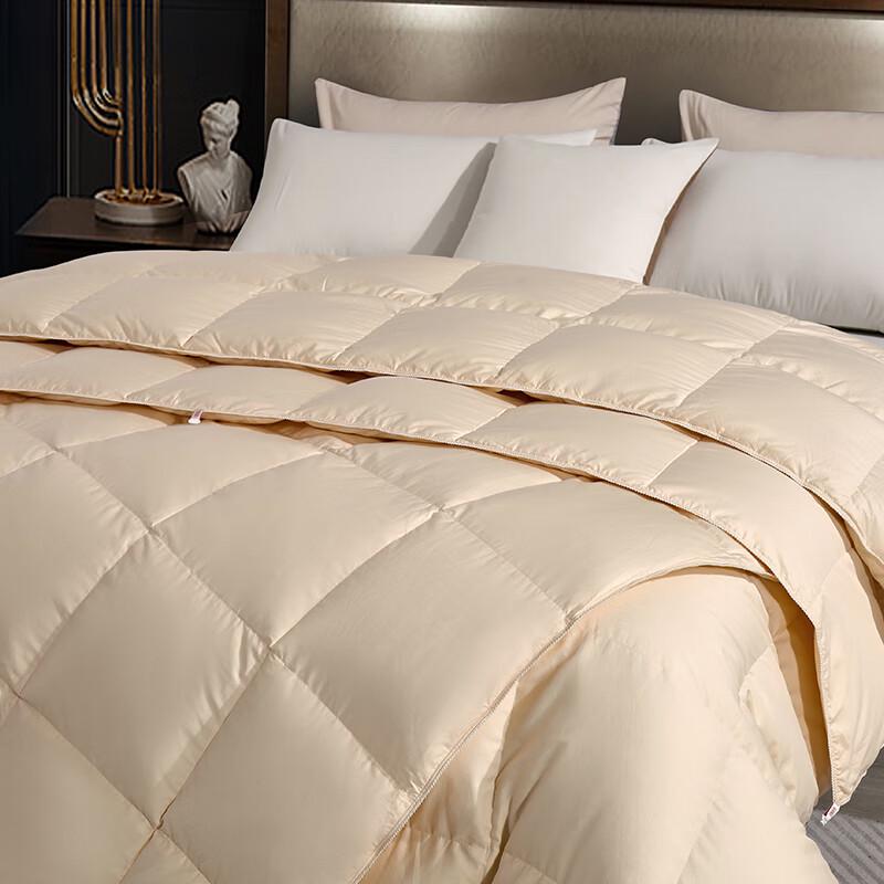 Yamian Premium 90% White Goose Down Winter Quilt