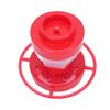 Hummingbird Feeder Outdoor Hanging Detachable Bee Proof Easy Filling Wide Mouth Plastic