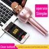 Guangfengyuan Kids' All-in-One Singing Microphone & Speaker
