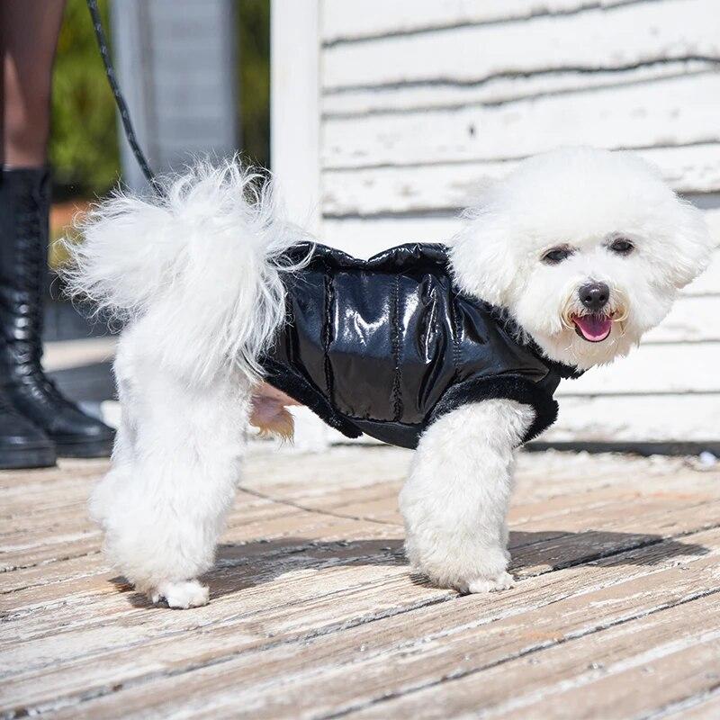 Winter Thickened Dog Clothes for Small Medium Dogs Cats Coat Waterproof Puppy Padded Jacket Reflective Yorkie Bulldog Costumes