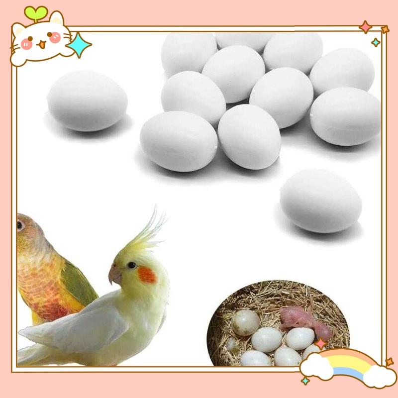 12PCS Solid Plastic Pigeon Eggs Homing Pigeon White Incubation Dove False Eggs
