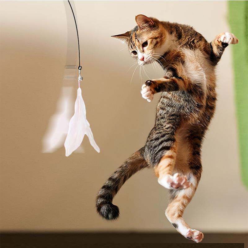 Long Suction Cup Pole Exciting Playtime Adventures Ultimate Cat Toy Interactive Bell Feather Wand Cat Teaser Toy