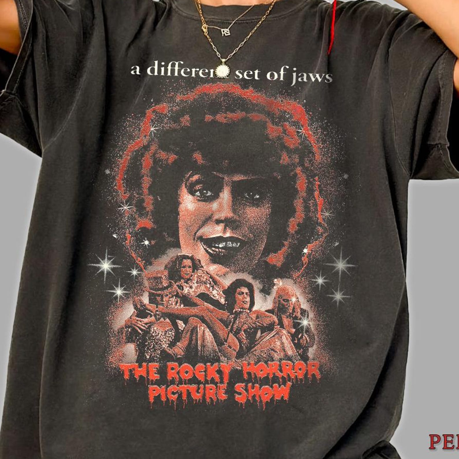Inspired Rocky Horror Shirt, Retro Cult Musical Tee, Vintage Horror Musical Fan Shirt, Unisex Movie Graphic Tee 2XL