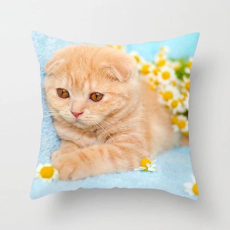Home Decor Witchcraft Cat Stealing  Cushion Cover Cute  Sofa Car Decoration 45x45cm Pillowcase Square Polyester