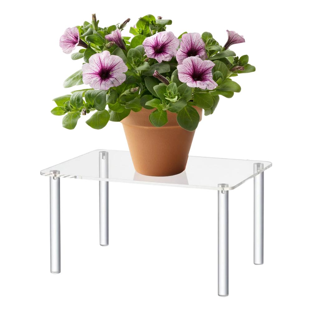 Protective Film Cover Clear Acrylic Riser Jewelry Stand Ready To Use