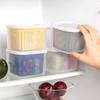 Transparent Double Layer Fresh-keeping Box For Ginger Garlic Onion Storage And Preservation
