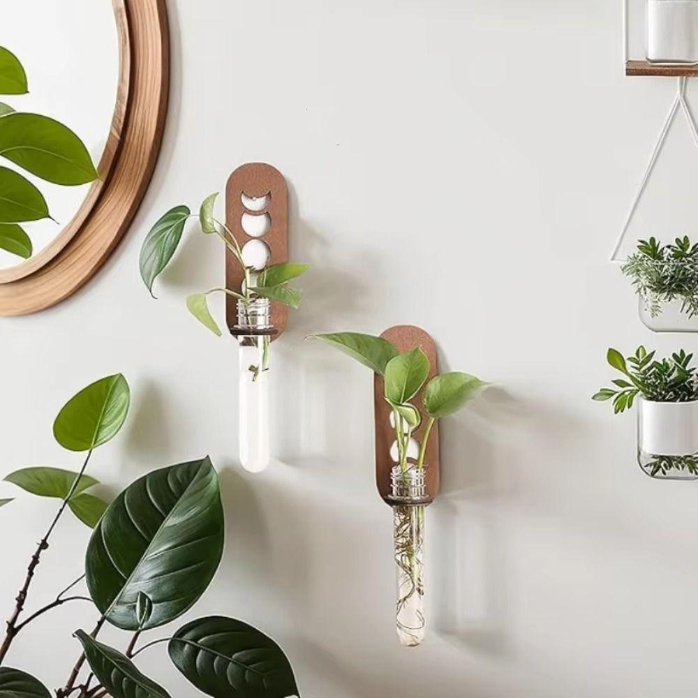 Plant Storage Rack Wall Hanging Vase Hydroponic Containe Hanging Planter  Home/Office Decor