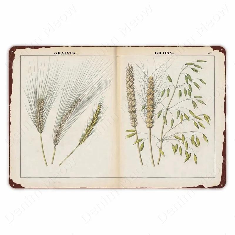 VegFruitVintageSign Vegetable Plants Retro Poster - Fruits/Cauliflower Vintage Metal Tin Sign, Garden/Kitchen Farm Wall Decor