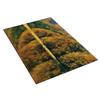 Living Room Carpet Bedroom Bedside Carpet Simple Floor Mat Foot Mat and Machine Washable Entrance Mat