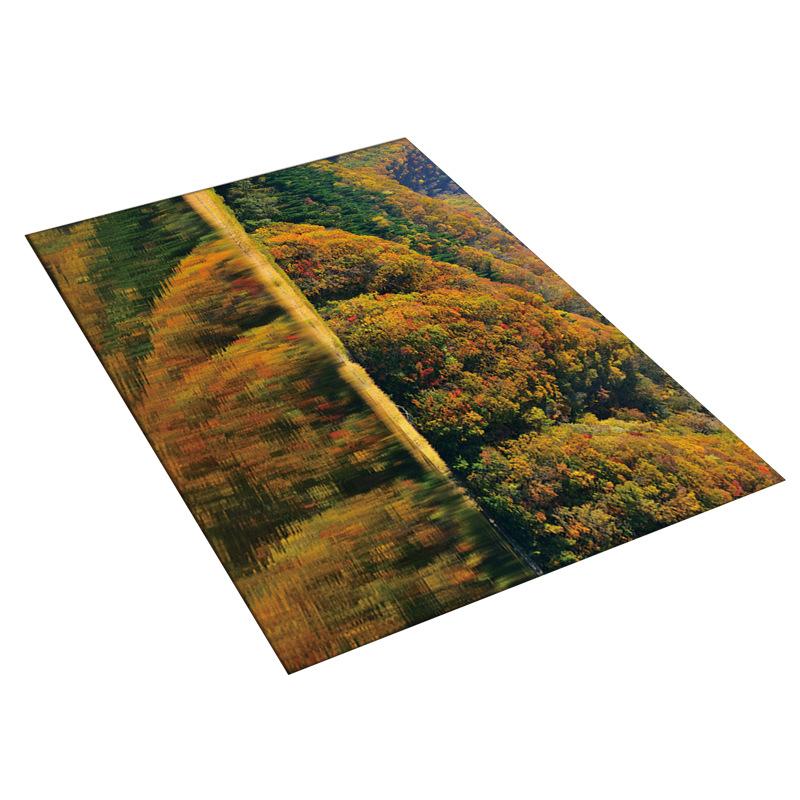 Living Room Carpet Bedroom Bedside Carpet Simple Floor Mat Foot Mat and Machine Washable Entrance Mat