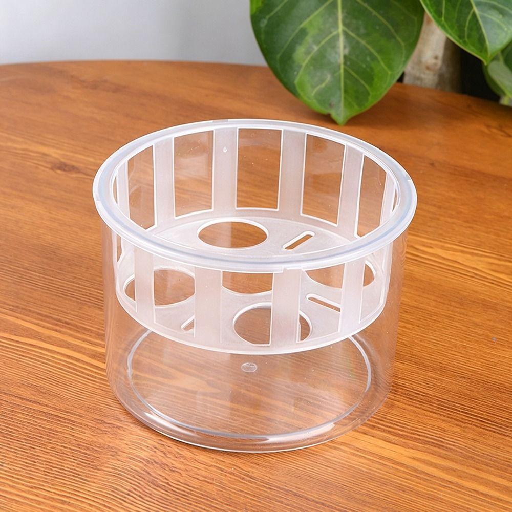 Clear Tulip Hydroponic Flowerpot With Breathable Support Basket Flower Pot Home Decoration