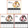 Pet Nylon Reflective Harness With Leash For Small Dogs And Puppies