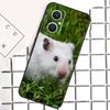 Hamster Guinea Pig For OPPO Reno 8 7 Lite 8T 10 11 12 13 14 Pro 11F 12F 13F 14F OPPO Find X9 X8 X5 X6 Pro Case