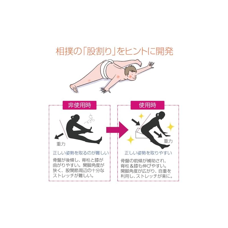 Santeplus Flex Cushion (Black) FC-A402K Black