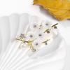 Broches e joias para o corpo