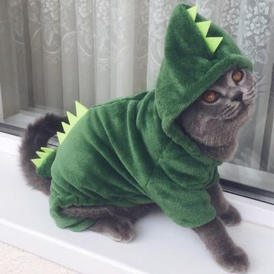 Pet Dog Clothes Small And Medium-Sized Dogs With Velvet Dinosaur Pet Cat Clothes